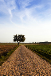 Similar image 10443918