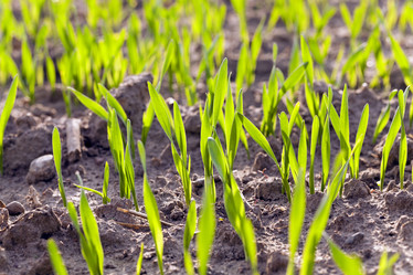 Similar image 10443938