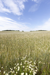 Similar image 10443941