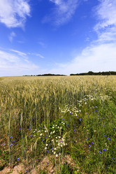 Similar image 10443949