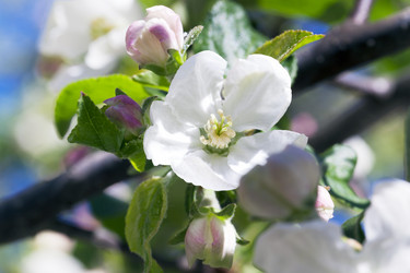 Similar image 10443967