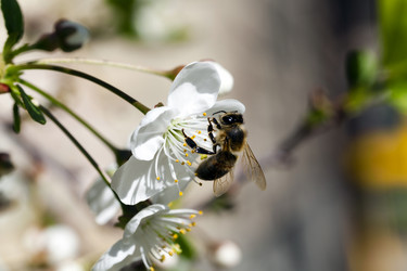 Similar image 10443969