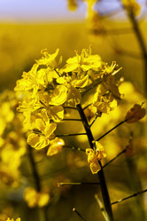 Similar image 10443986