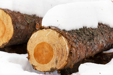 Similar image 10444004