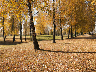 Similar image 10444011