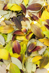 Similar image 10444013