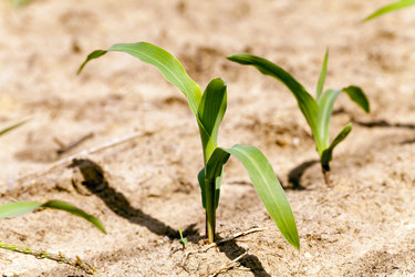 Similar image 10444024