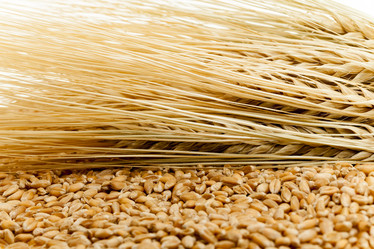 Similar image 10444033