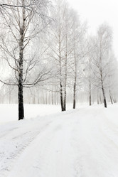 Similar image 10444034