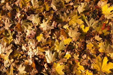 Similar image 10444040