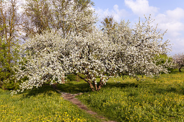 Similar image 10444041