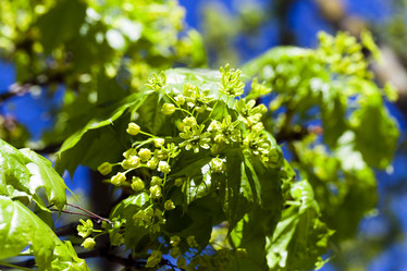 Similar image 10444050