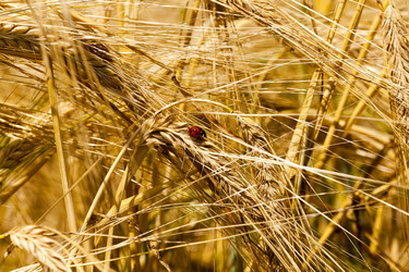 Similar image 10444057