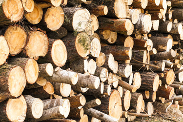 Similar image 10444058