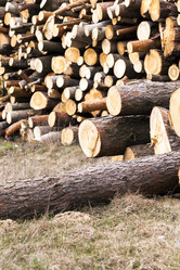 Similar image 10444059