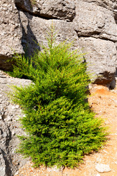 Similar image 10444077