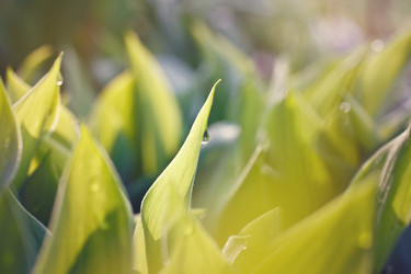 Similar image 10444164