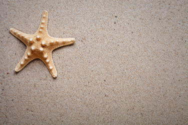 Similar image 10444185