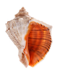 Similar image 10444189