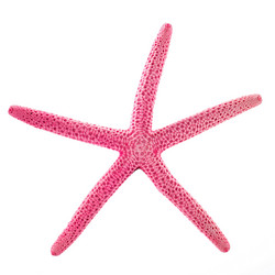 Similar image 10444190