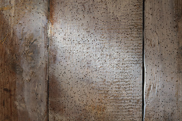 Similar image 10444209