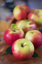 Similar image 10444454