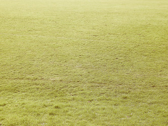 Similar image 10444557