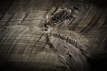 Similar image 10444991