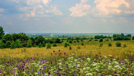 Similar image 10445279