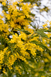 Similar image 10445304