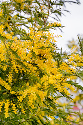 Similar image 10445305