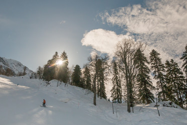 Similar image 10445307