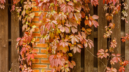 Similar image 10445321