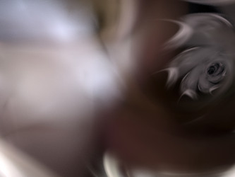 Similar image 10445374