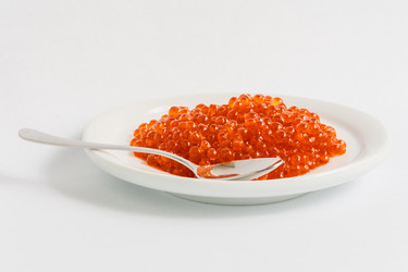 Similar image 10445391