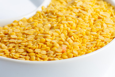 Similar image 10445410