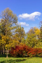 Similar image 10445414