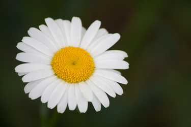 Similar image 10445418