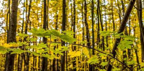 Similar image 10445419