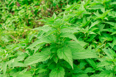 Similar image 10445420