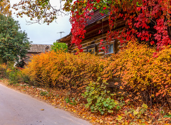 Similar image 10445424