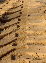 Similar image 10445435