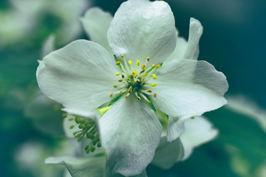 Similar image 10445448