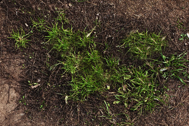 Similar image 10445468