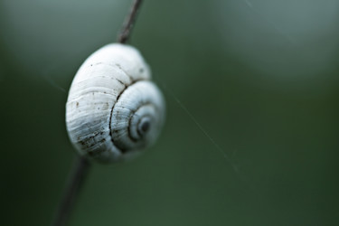 Similar image 10445469