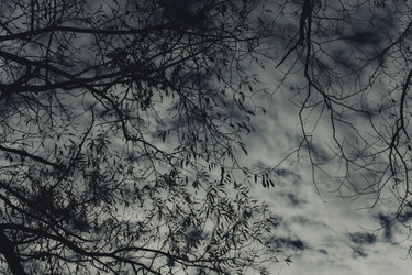 Similar image 10445470