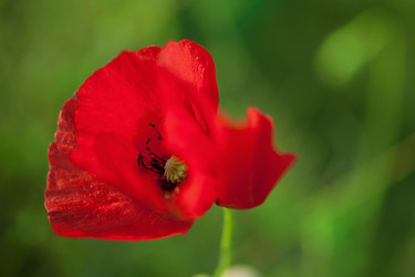 Similar image 10445471