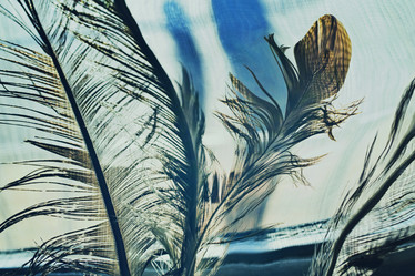 Similar image 10445473