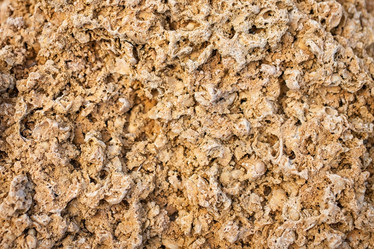 Similar image 10445474