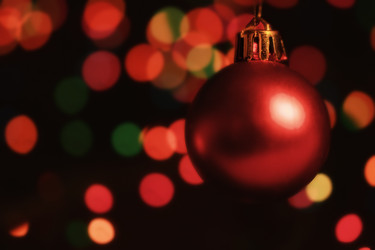 Similar image 10445480